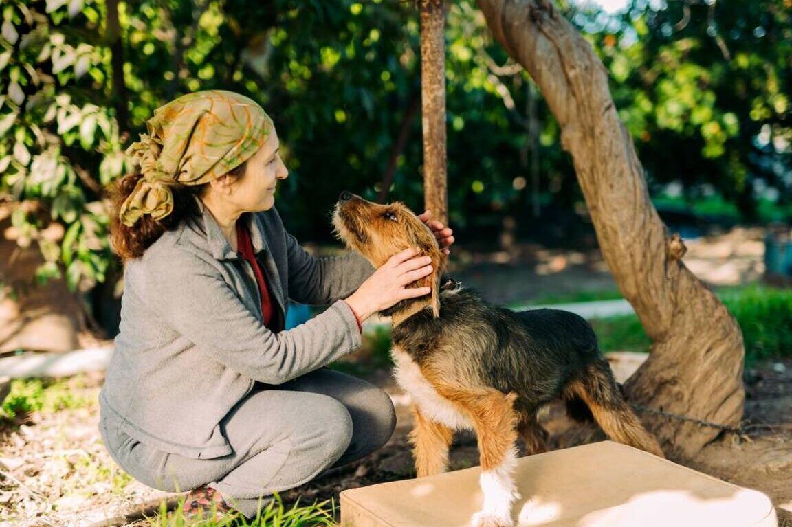 animales y activismo politico
